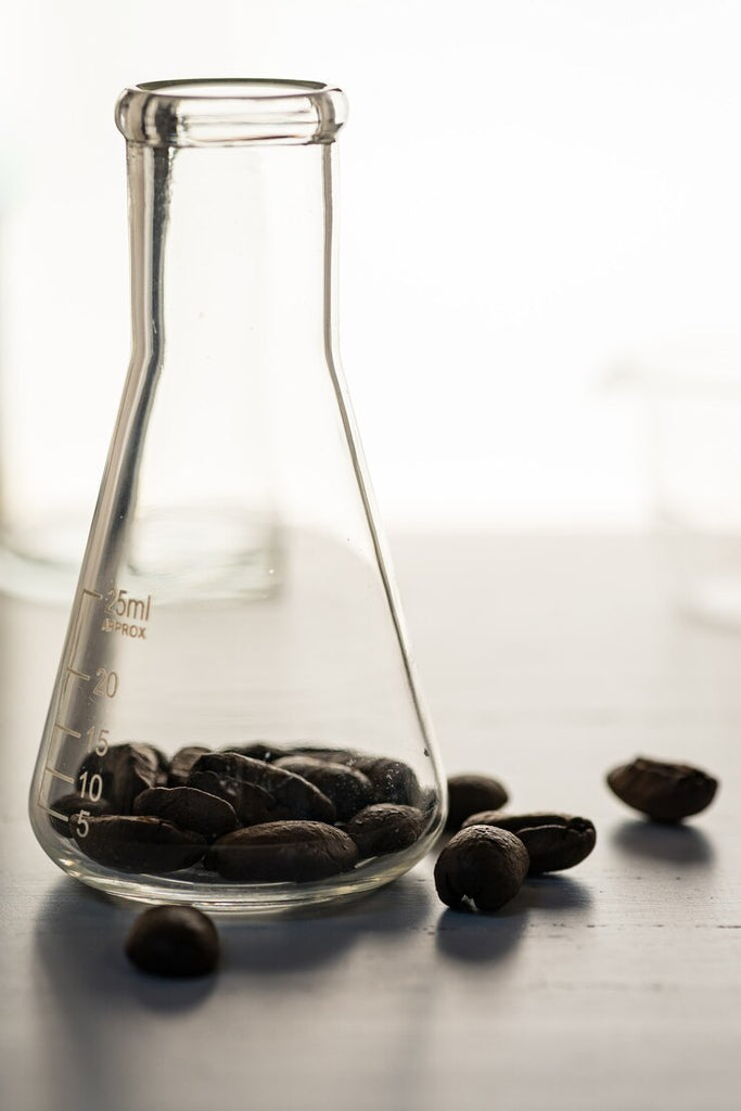 Can Coffee Boost Concentration? Why Robusta is Your Best Bet for Focus & Energy