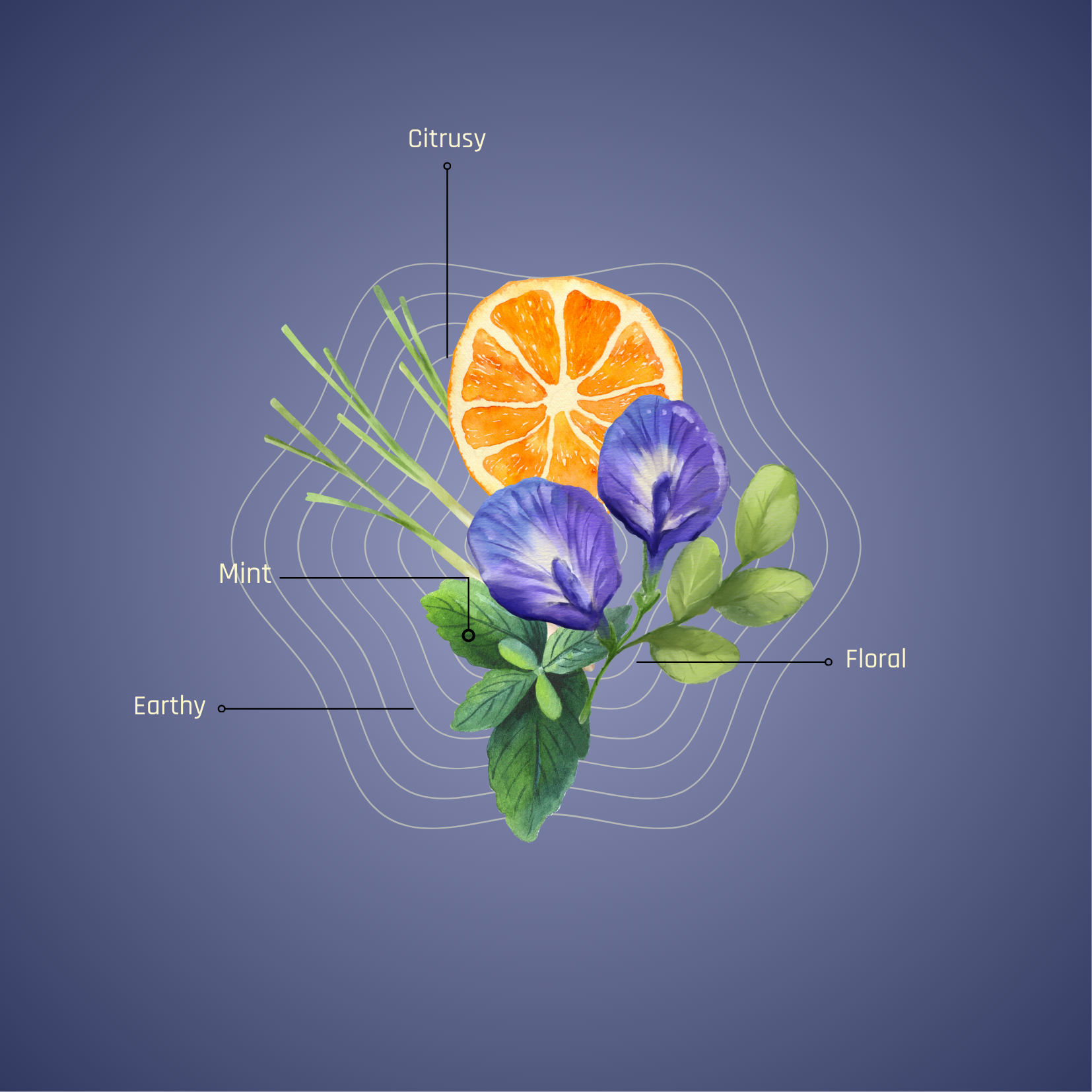 The Floral Infusion Journey - All 3 Blends