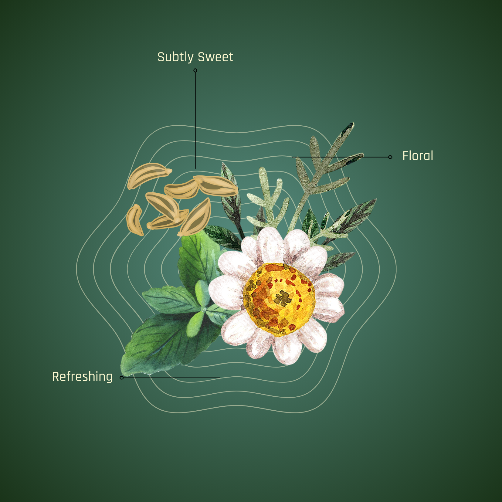 The Floral Infusion Journey - All 3 Blends