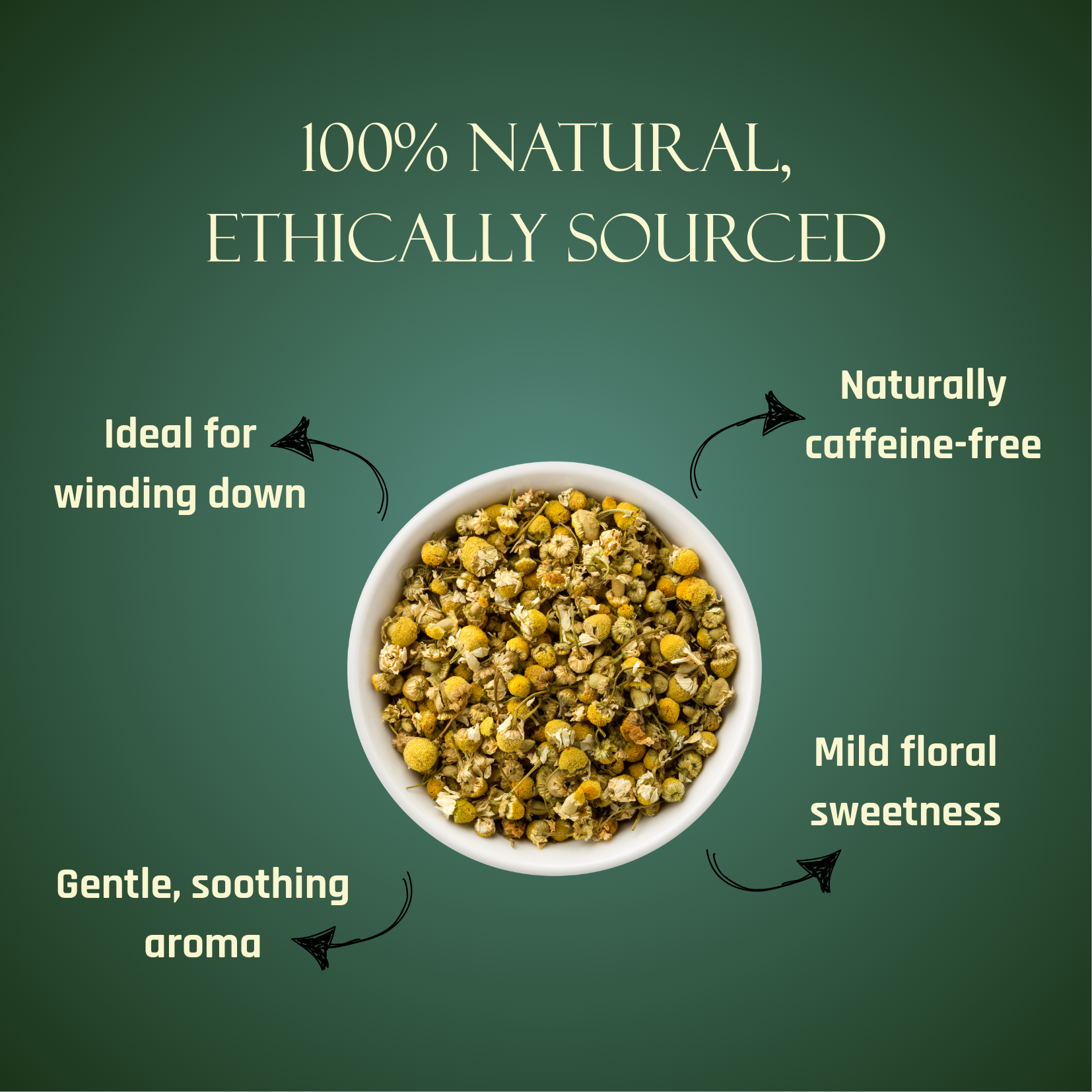 Nidranjali Blend | Chamomile Floral Infusion