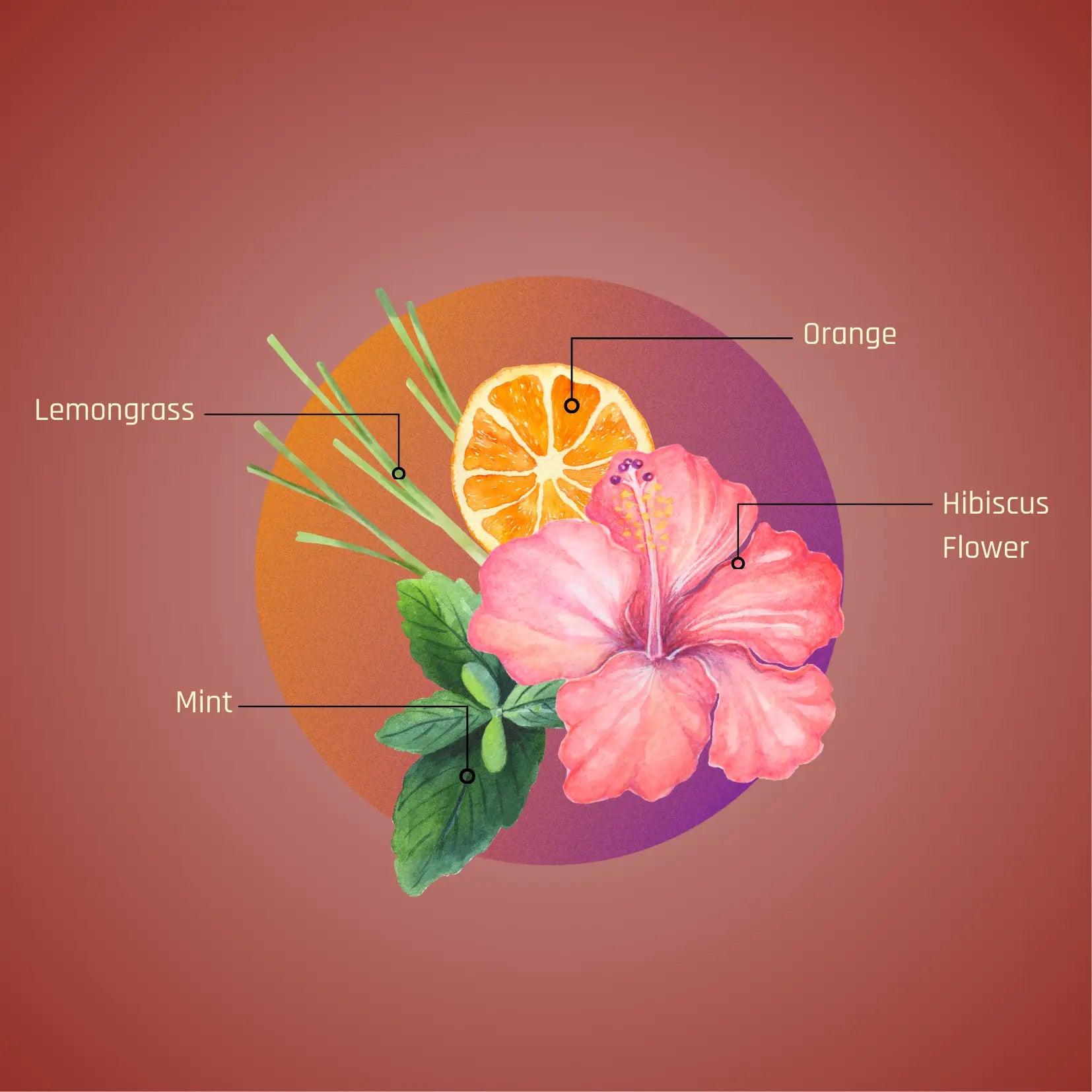 Sembaruthi Blend | Hibiscus Floral Infusion