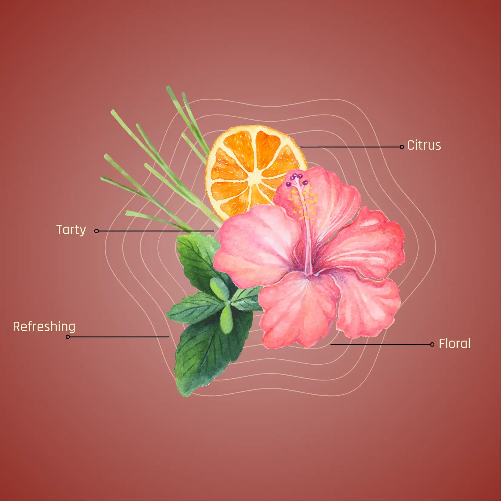 Sembaruthi Blend | Hibiscus Floral Infusion