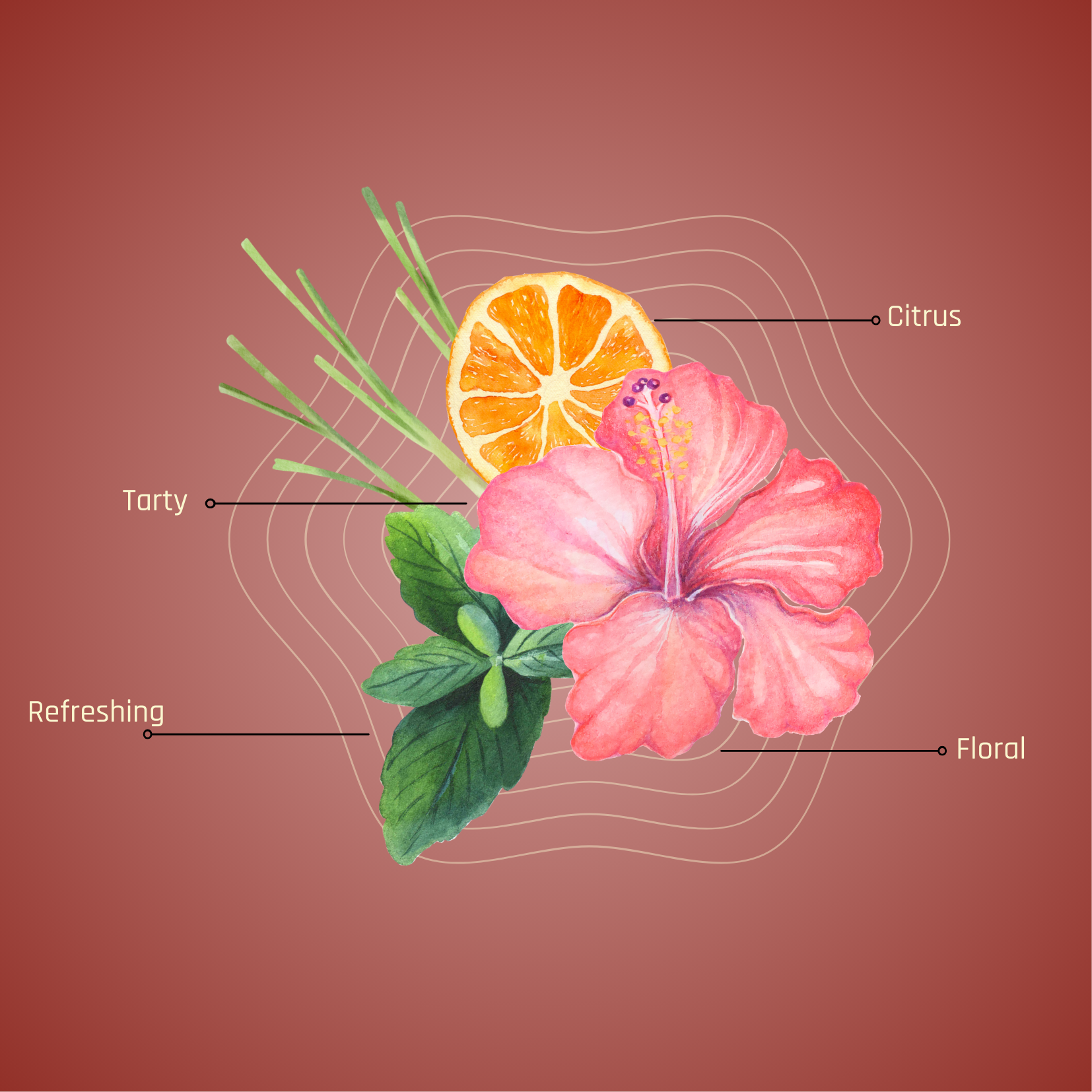 The Floral Infusion Journey - All 3 Blends