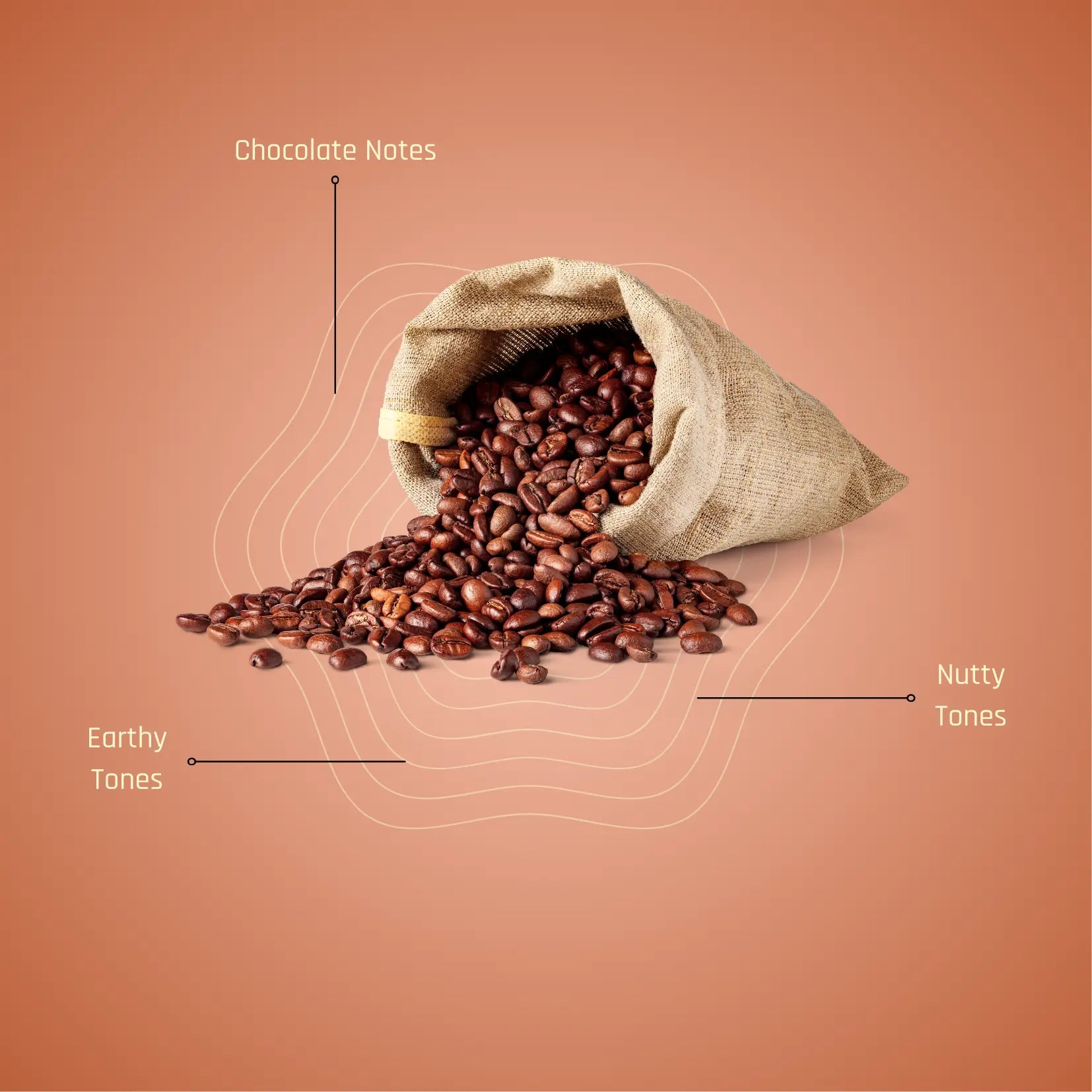 Kapi Vismaya – The French Press Coffee Box