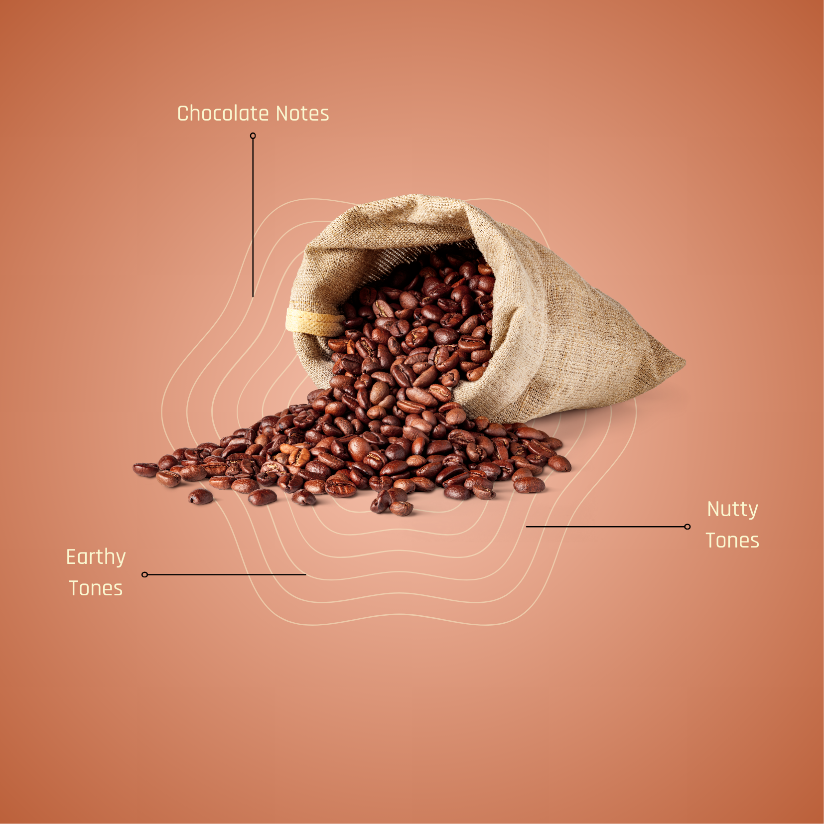 Thaimala Self Brew Kit – Bold Coffee, Brewed Your Way