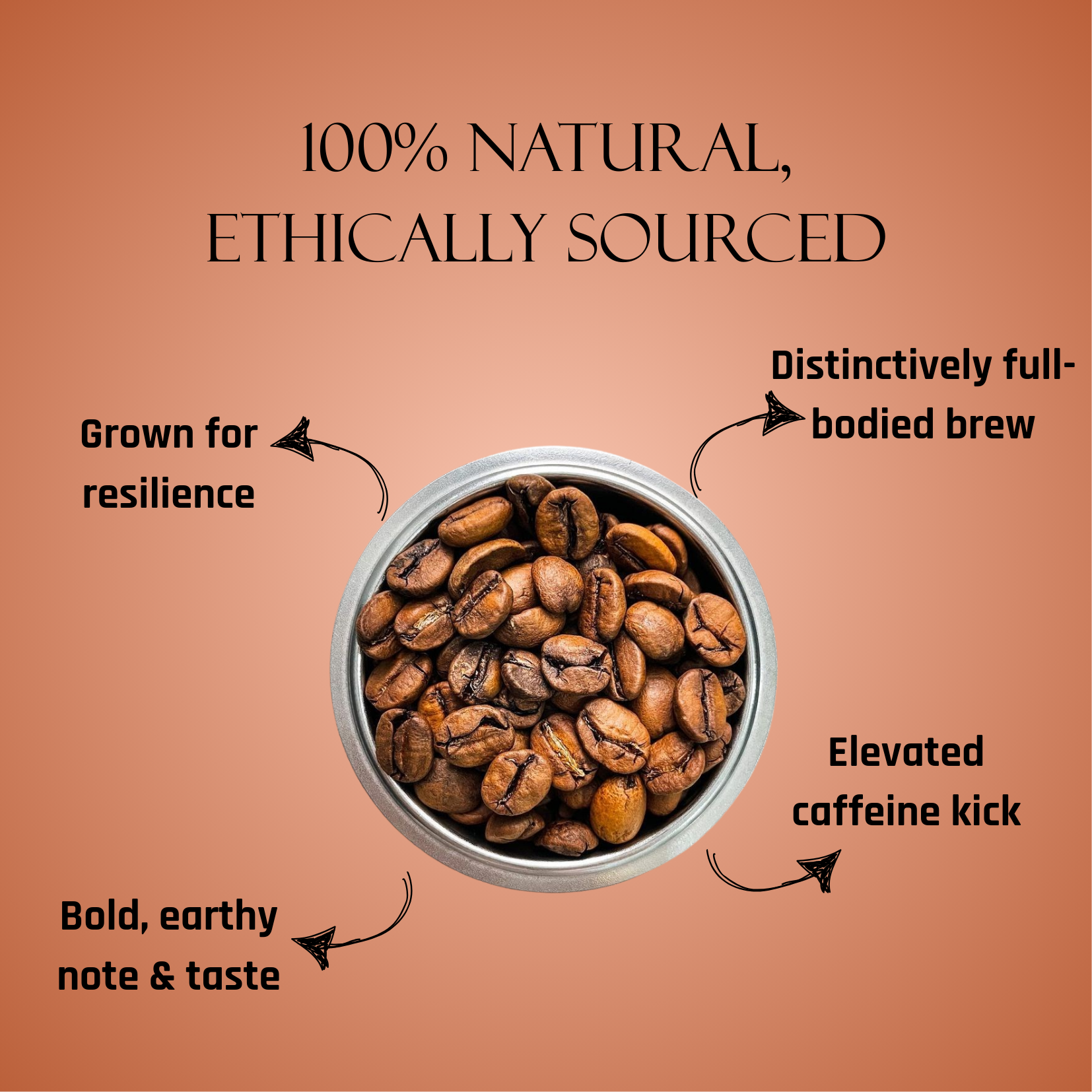 Thaimala Cold Brew Kit – Strong Coffee, Served Cold